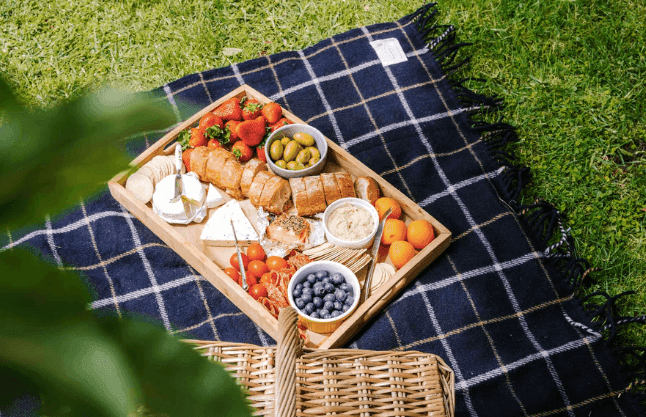 Picnic Rug Takarangi Tartan | NZ made