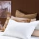Fleur de Leau White Pillowsham