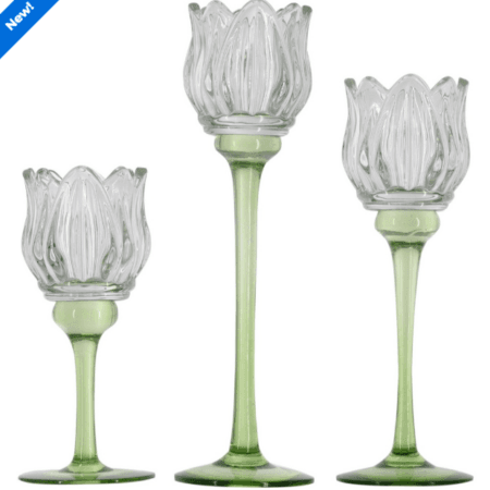 Tulip Glass Candle Holders