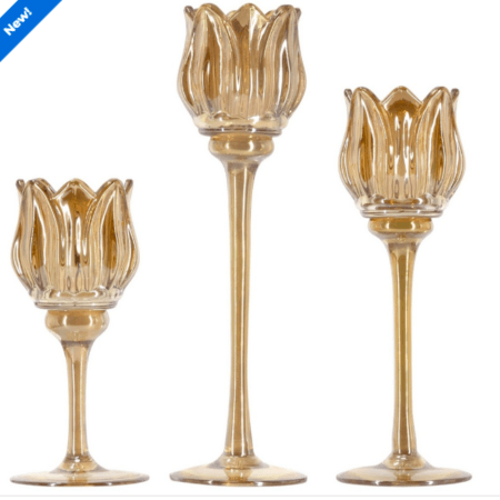 Tulip Glass Candle Holders