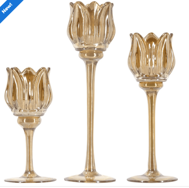 Tulip Glass Candle Holders